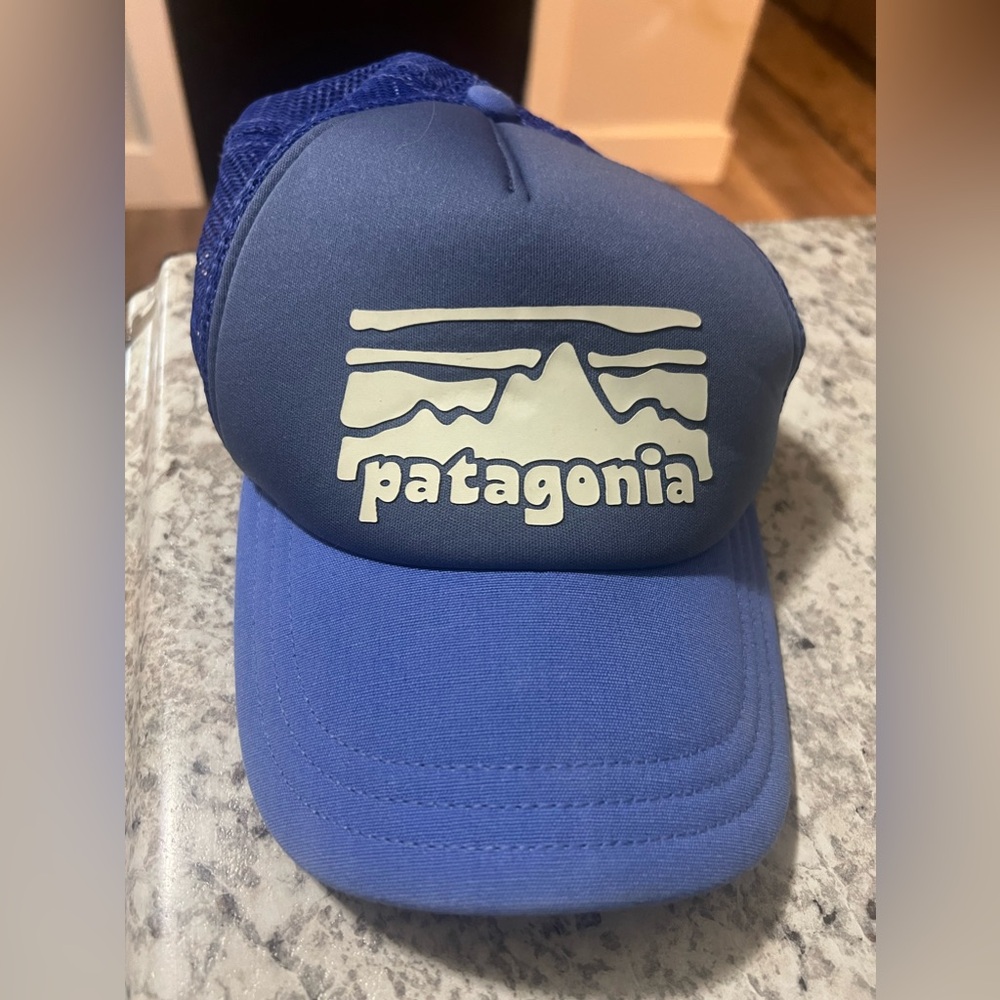 Patagonia trucker hat